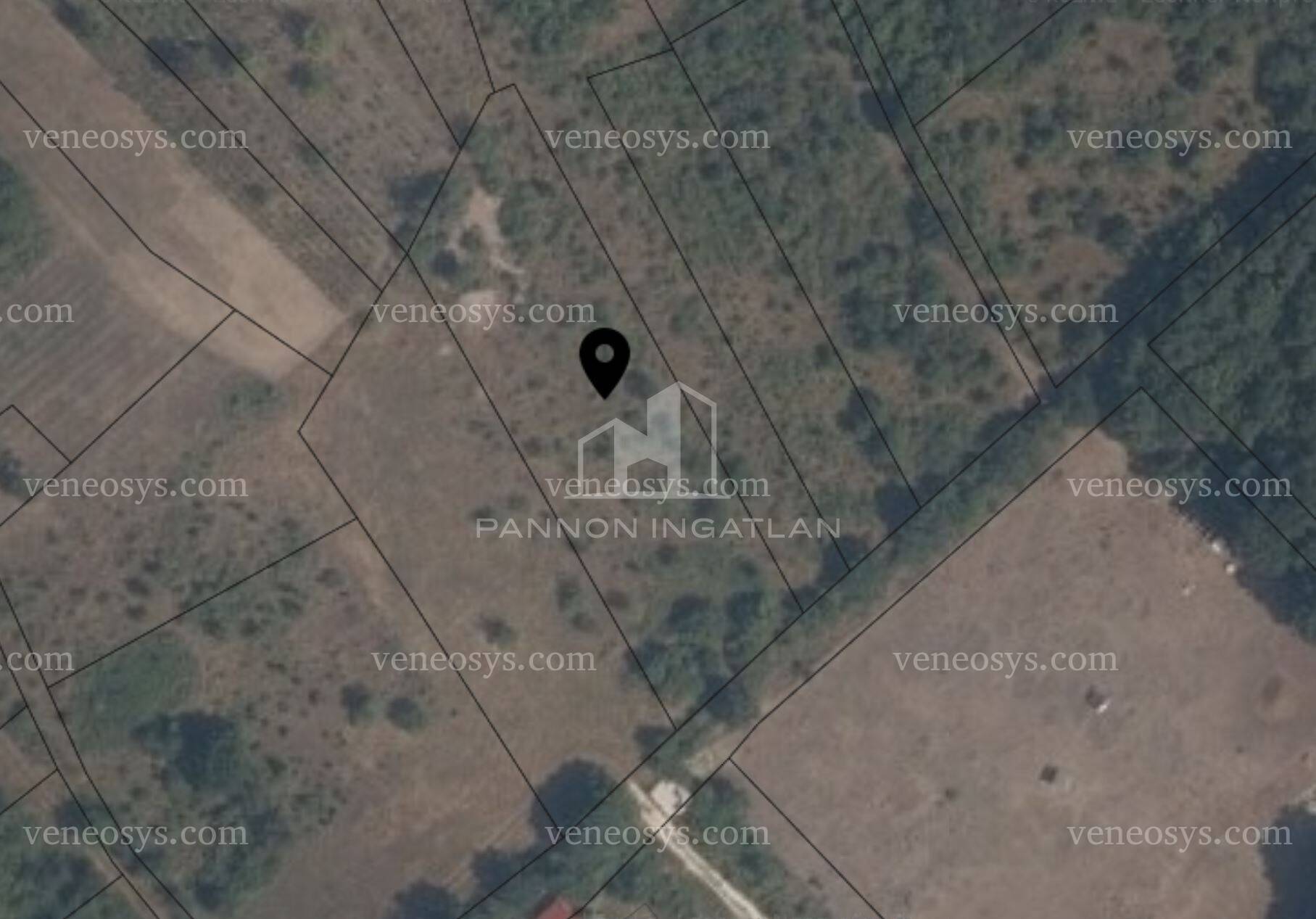 Kép 1