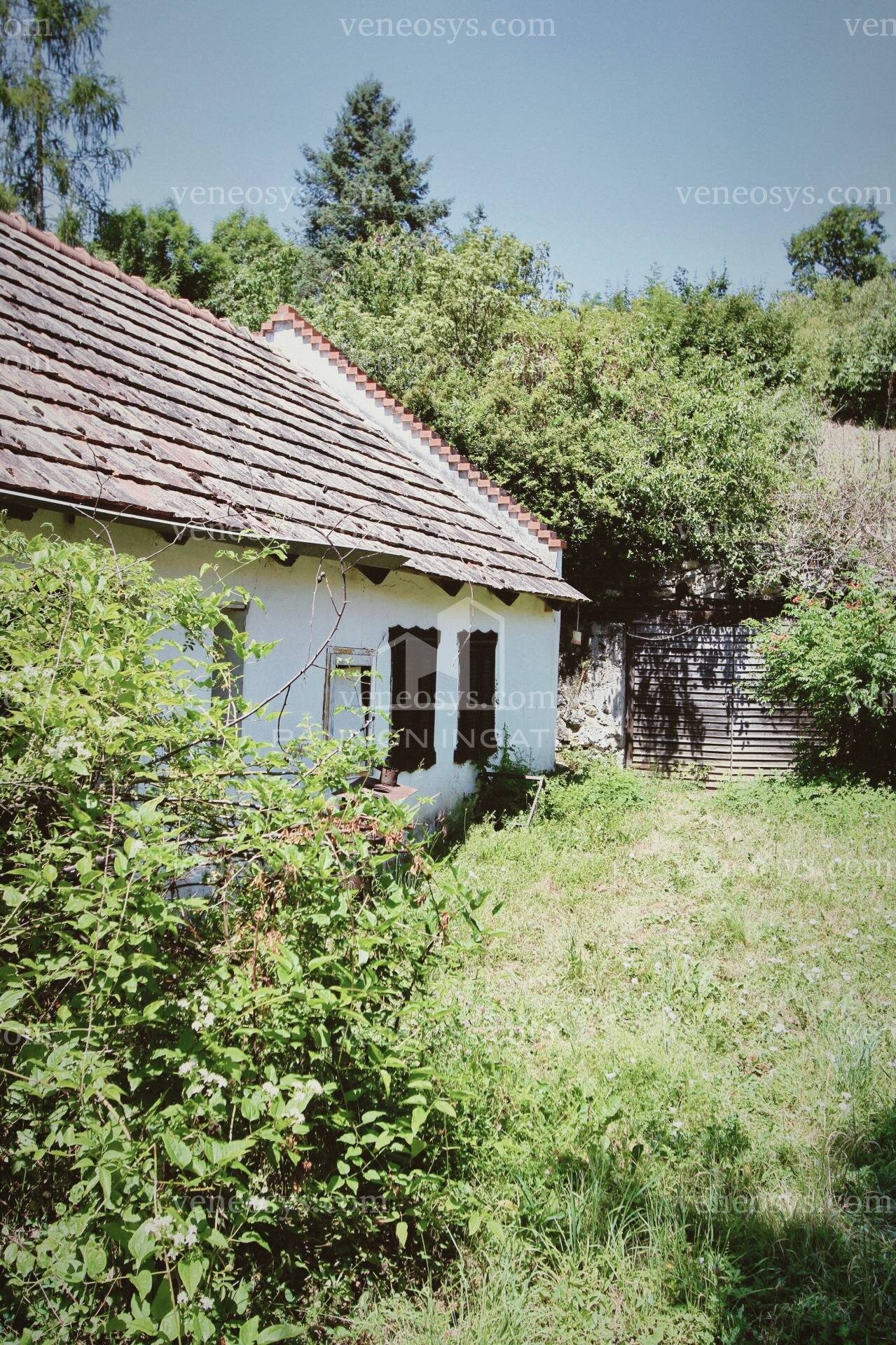 Kép 7