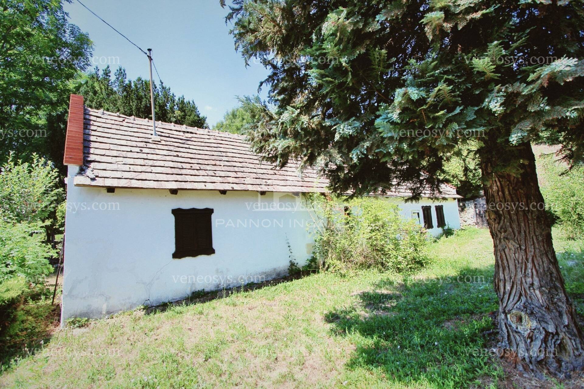 Kép 8