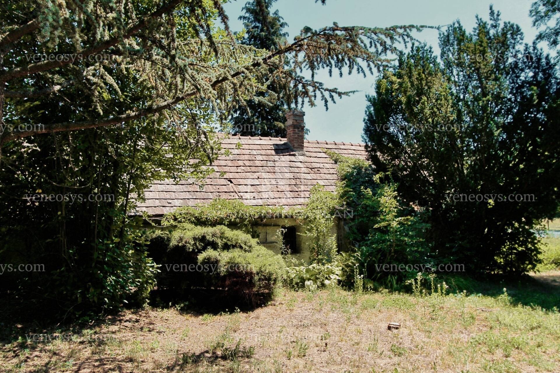 Kép 18