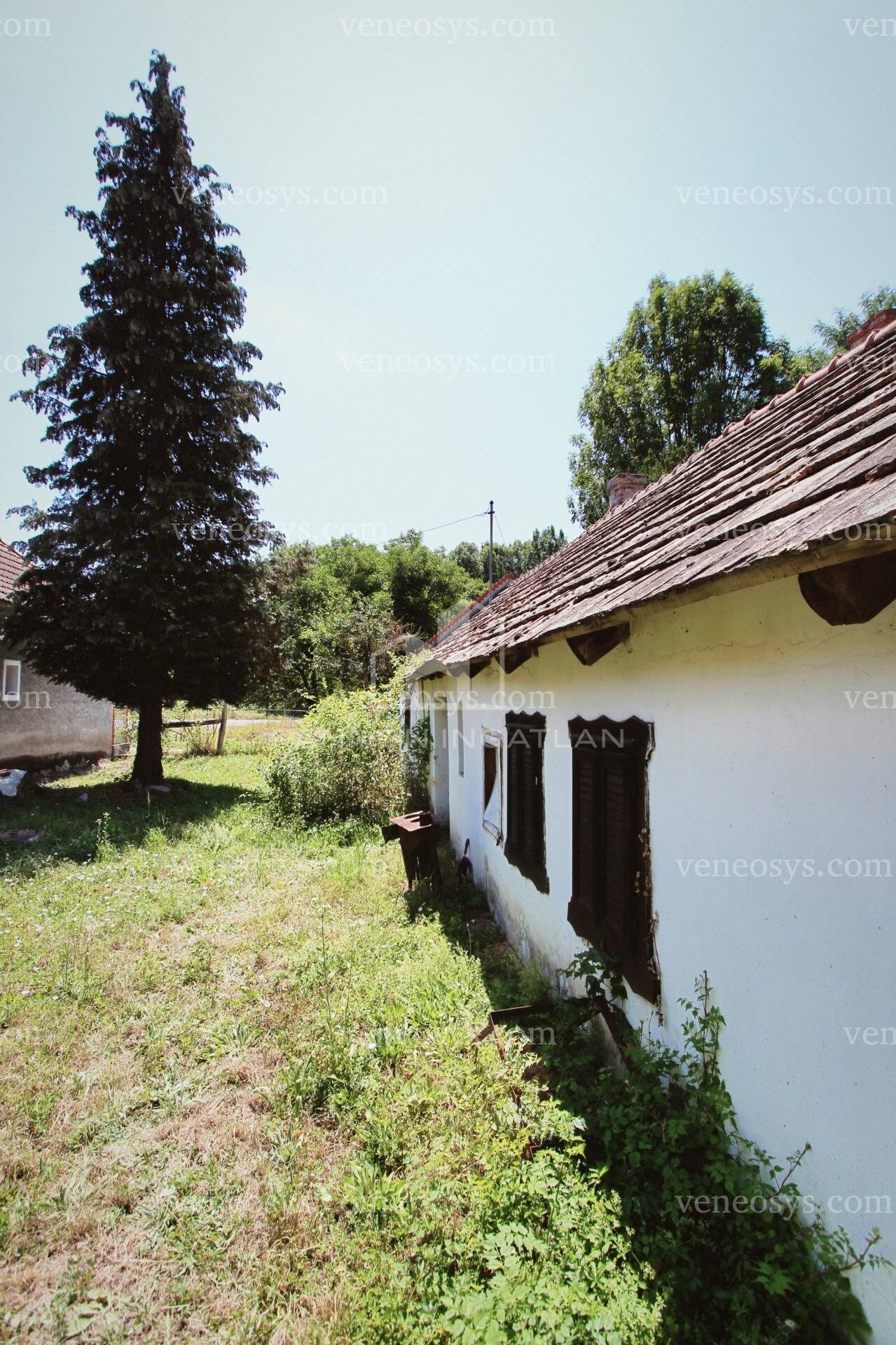 Kép 10