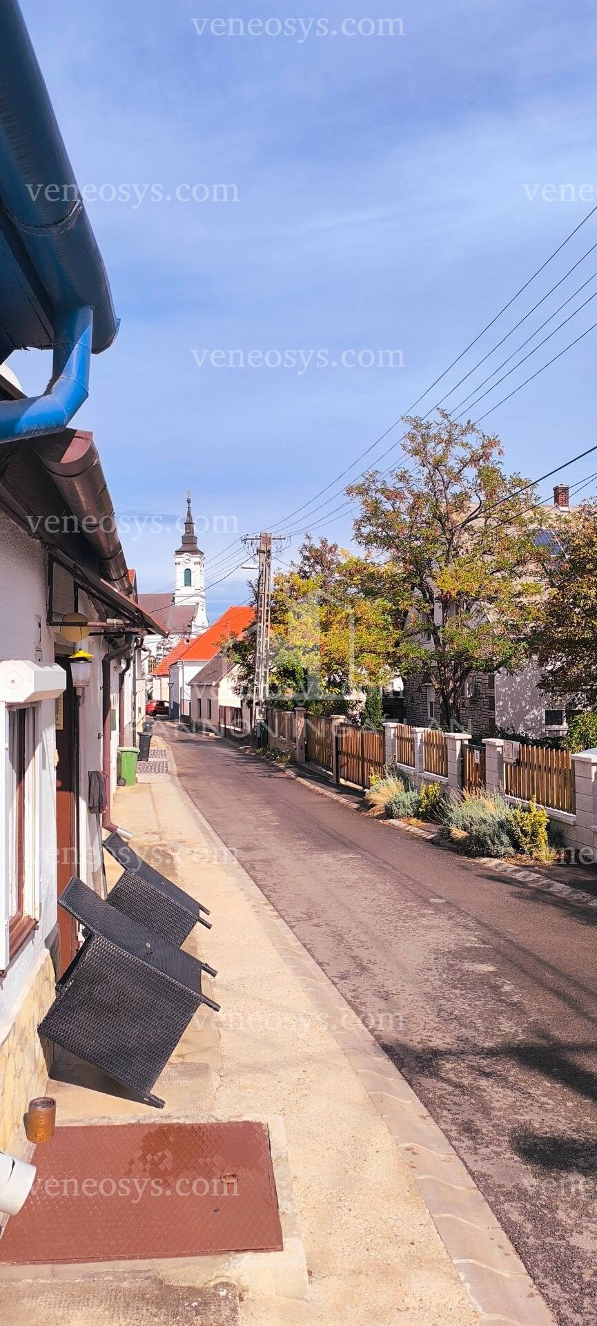 Kép 1