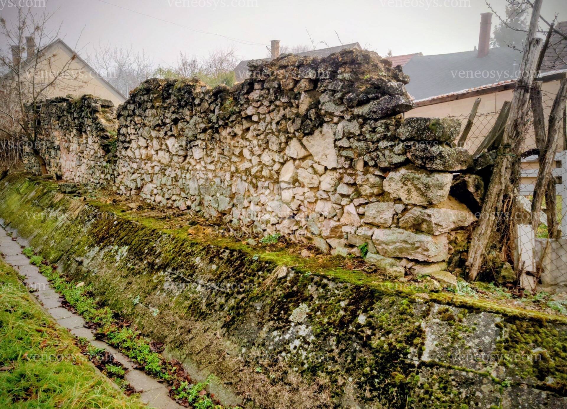 Kép 6