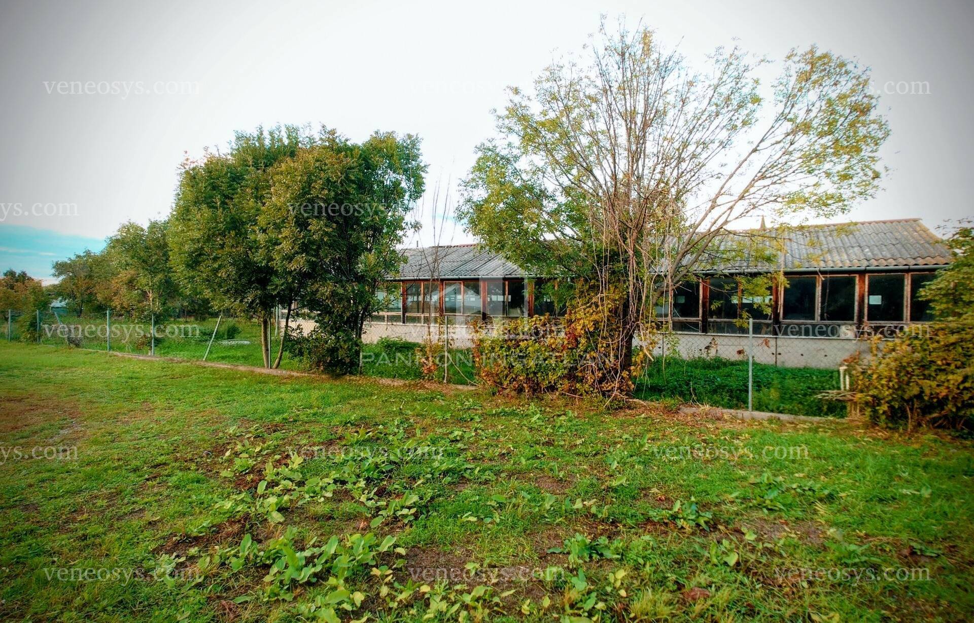 Kép 2