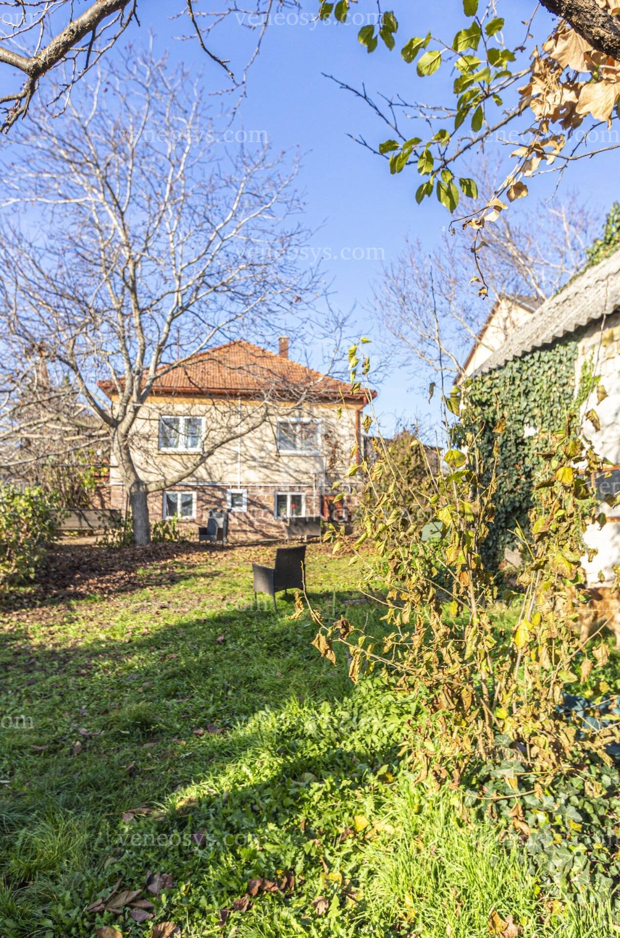 Kép 1