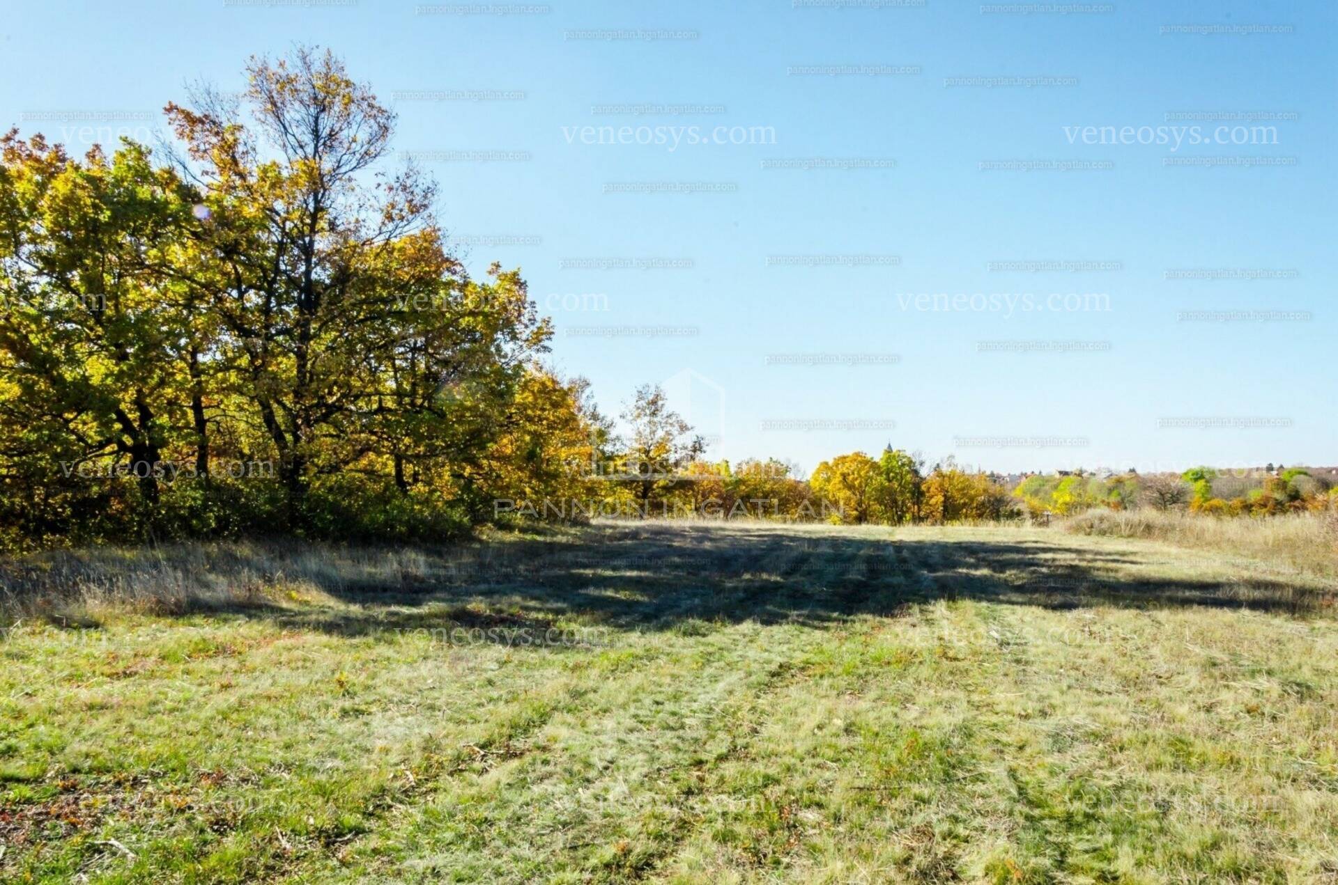 Kép 9