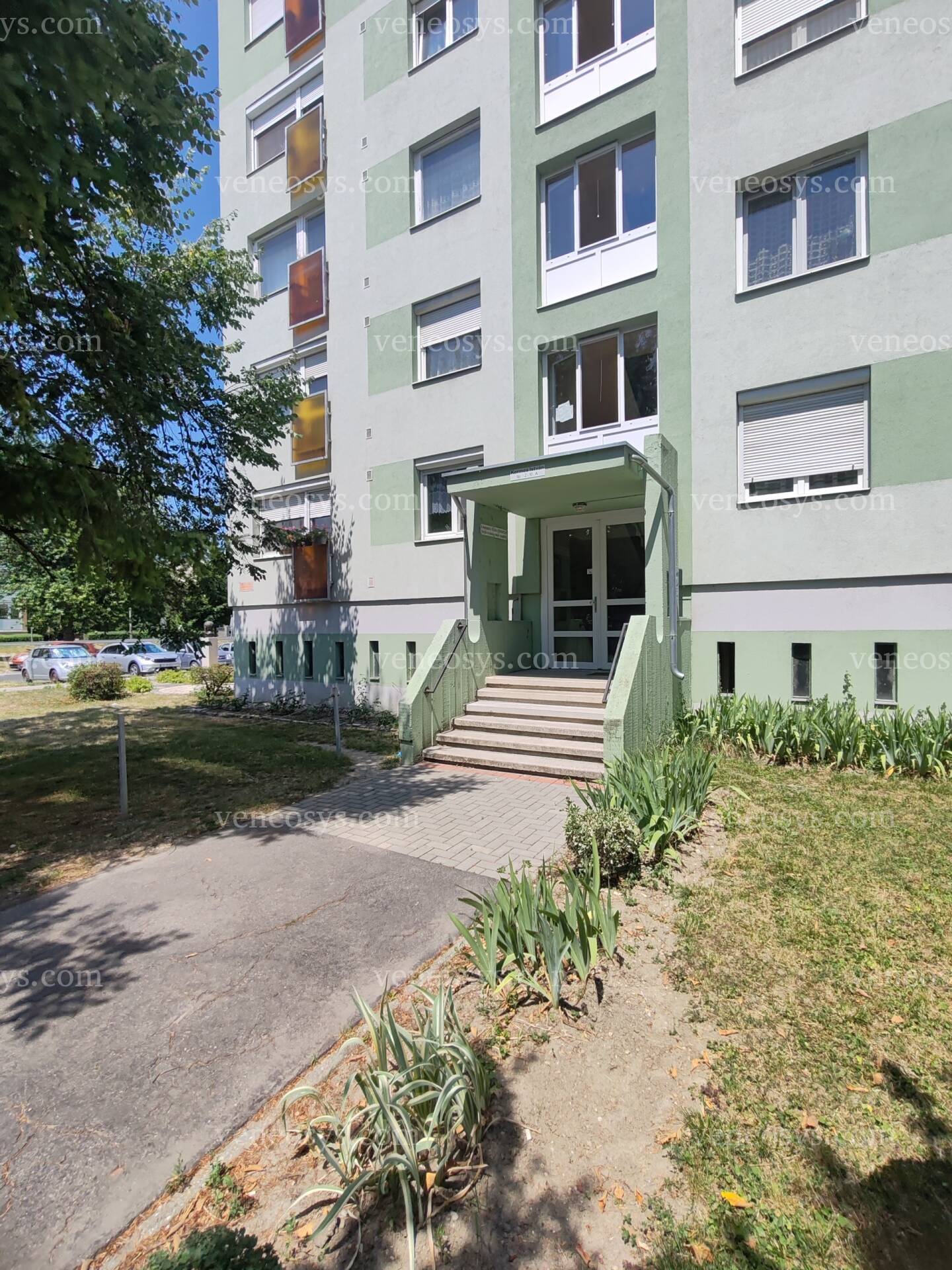 Kép 3