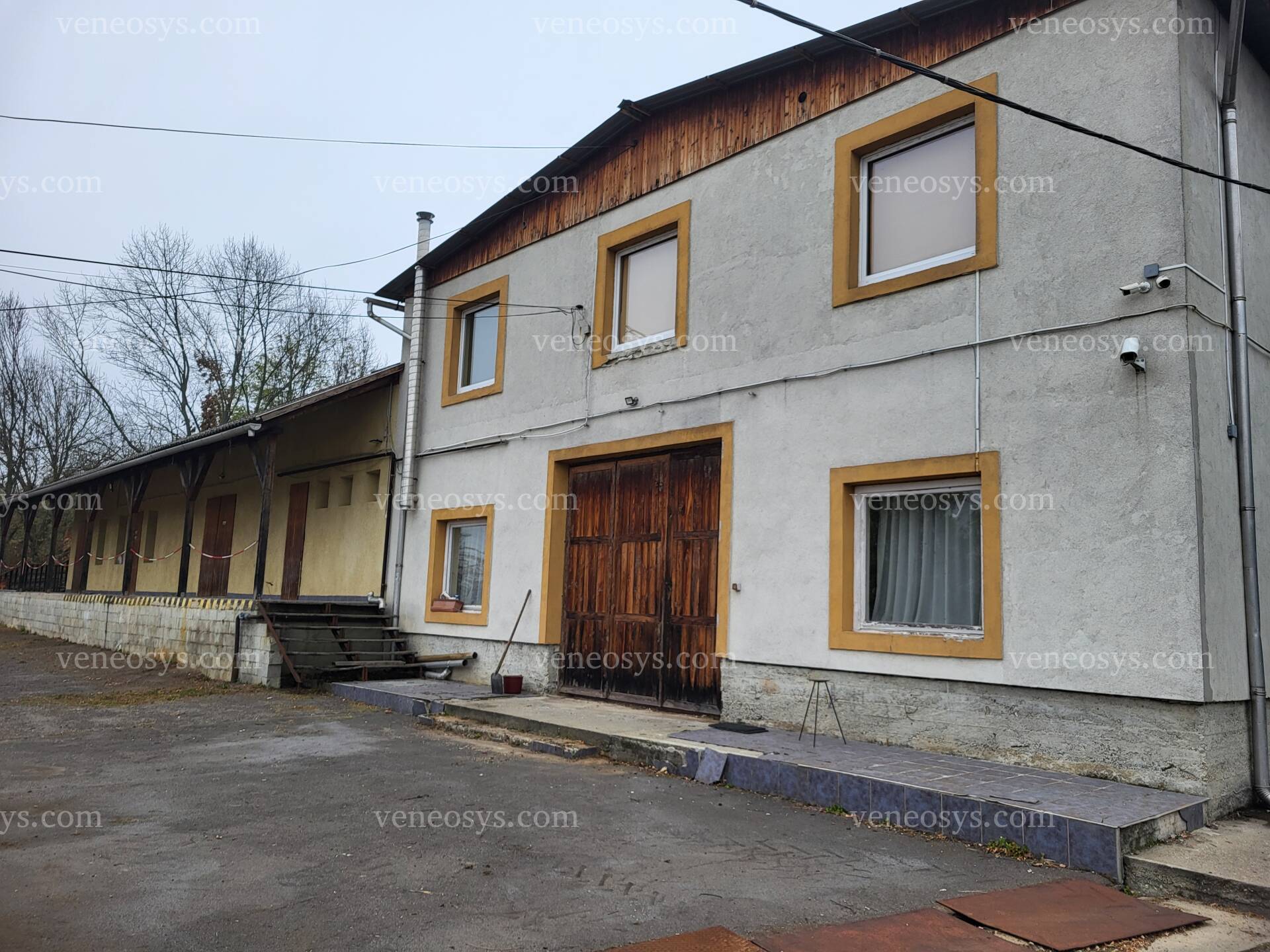 Kép 10
