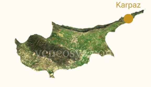 Kép 6