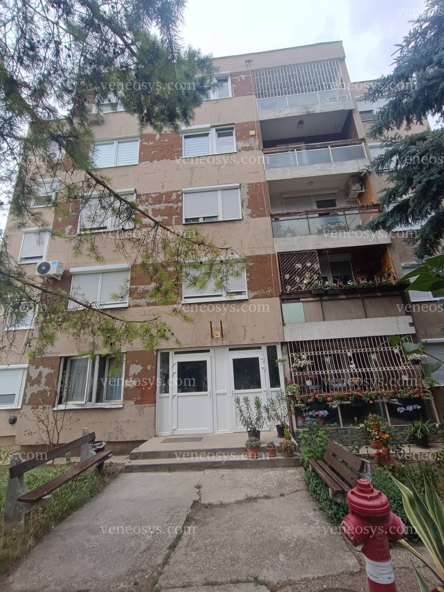 Kép 10