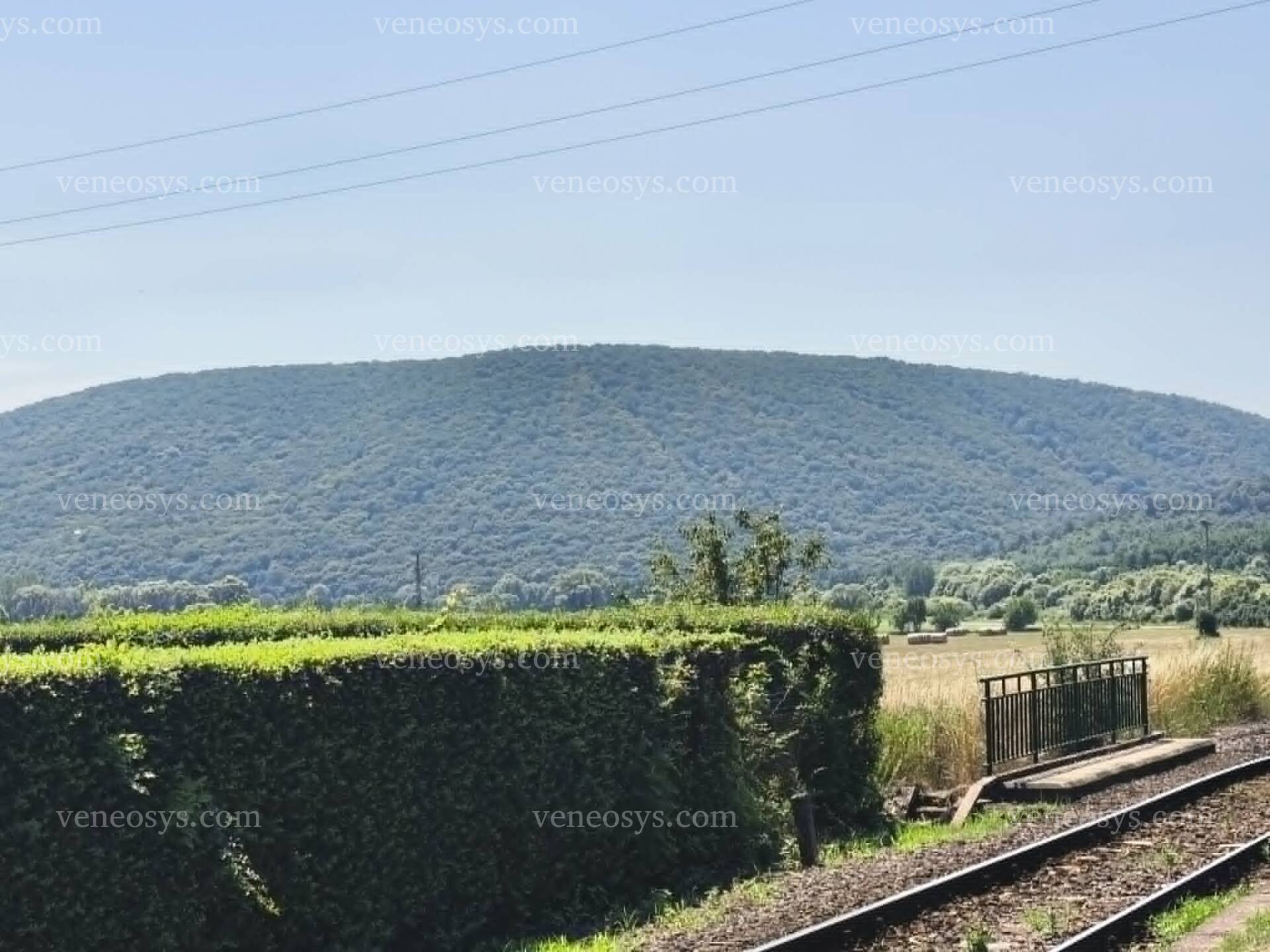 Kép 10