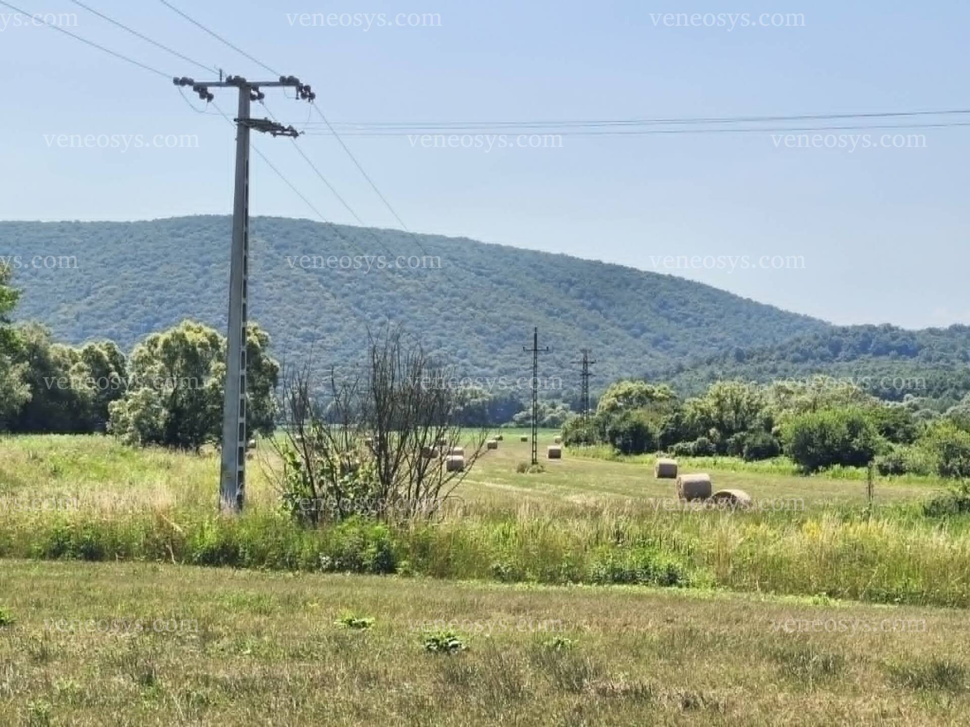 Kép 11