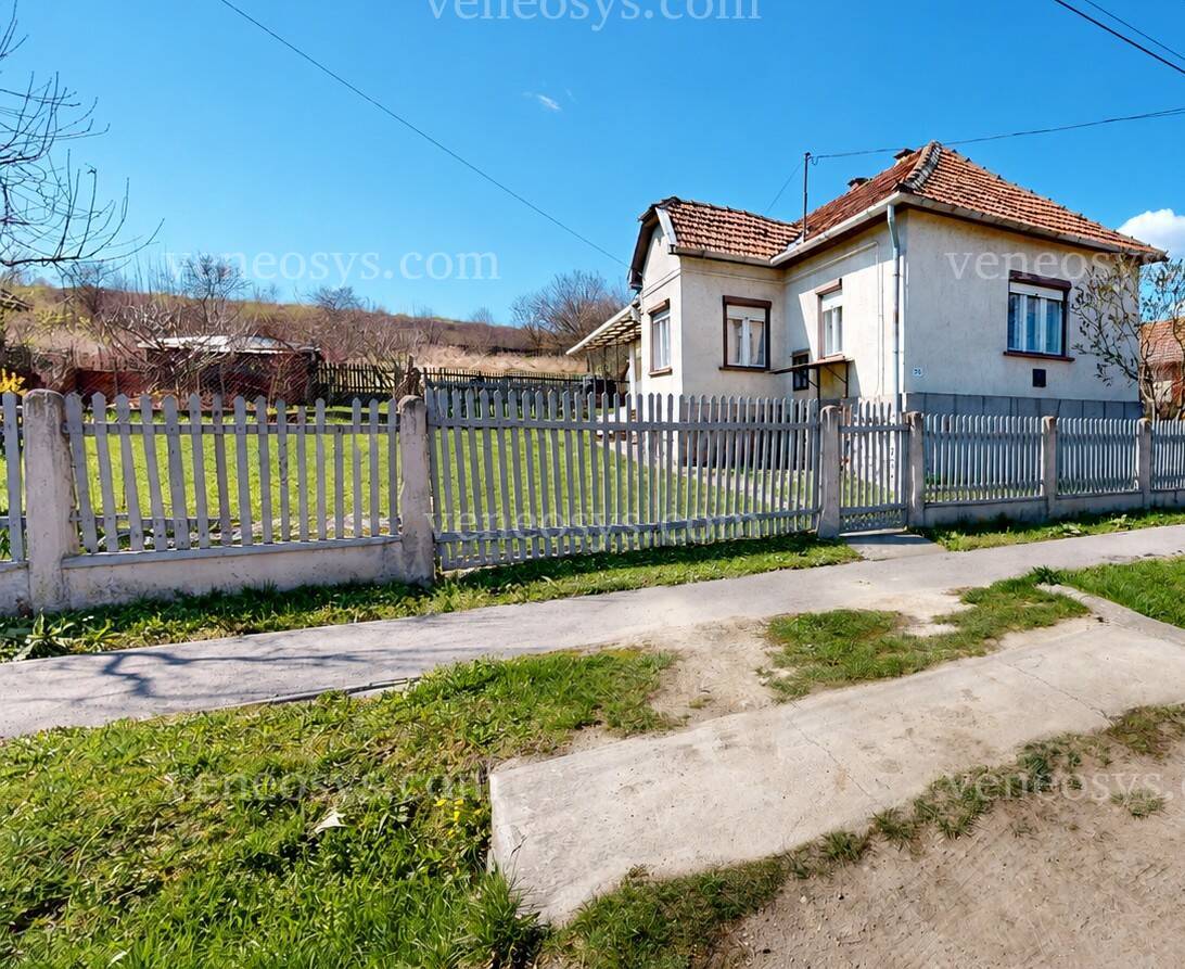 Szuhogy