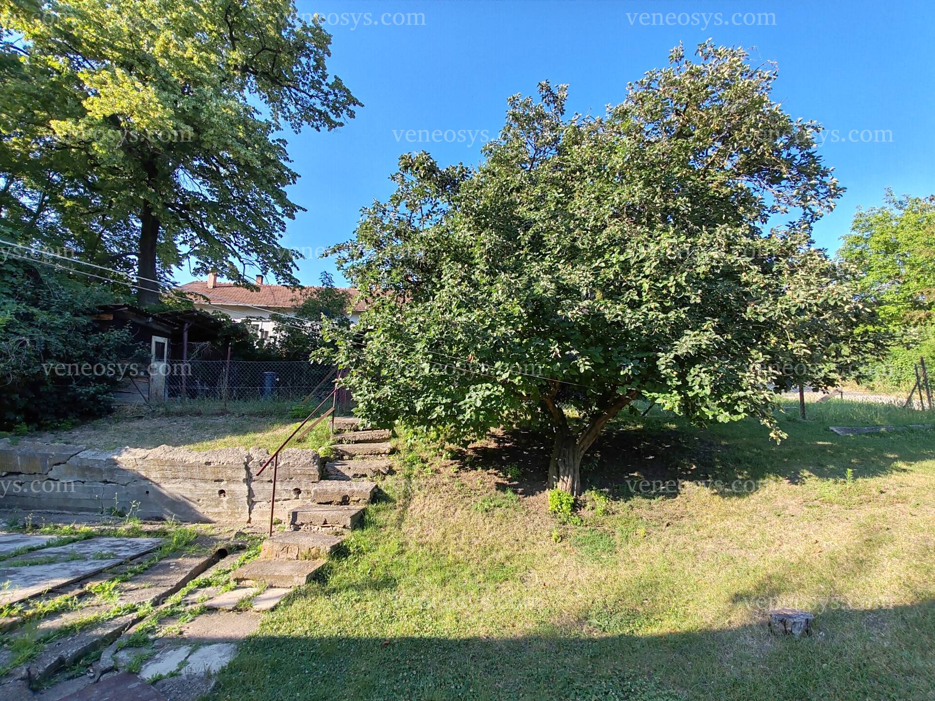 Kép 7