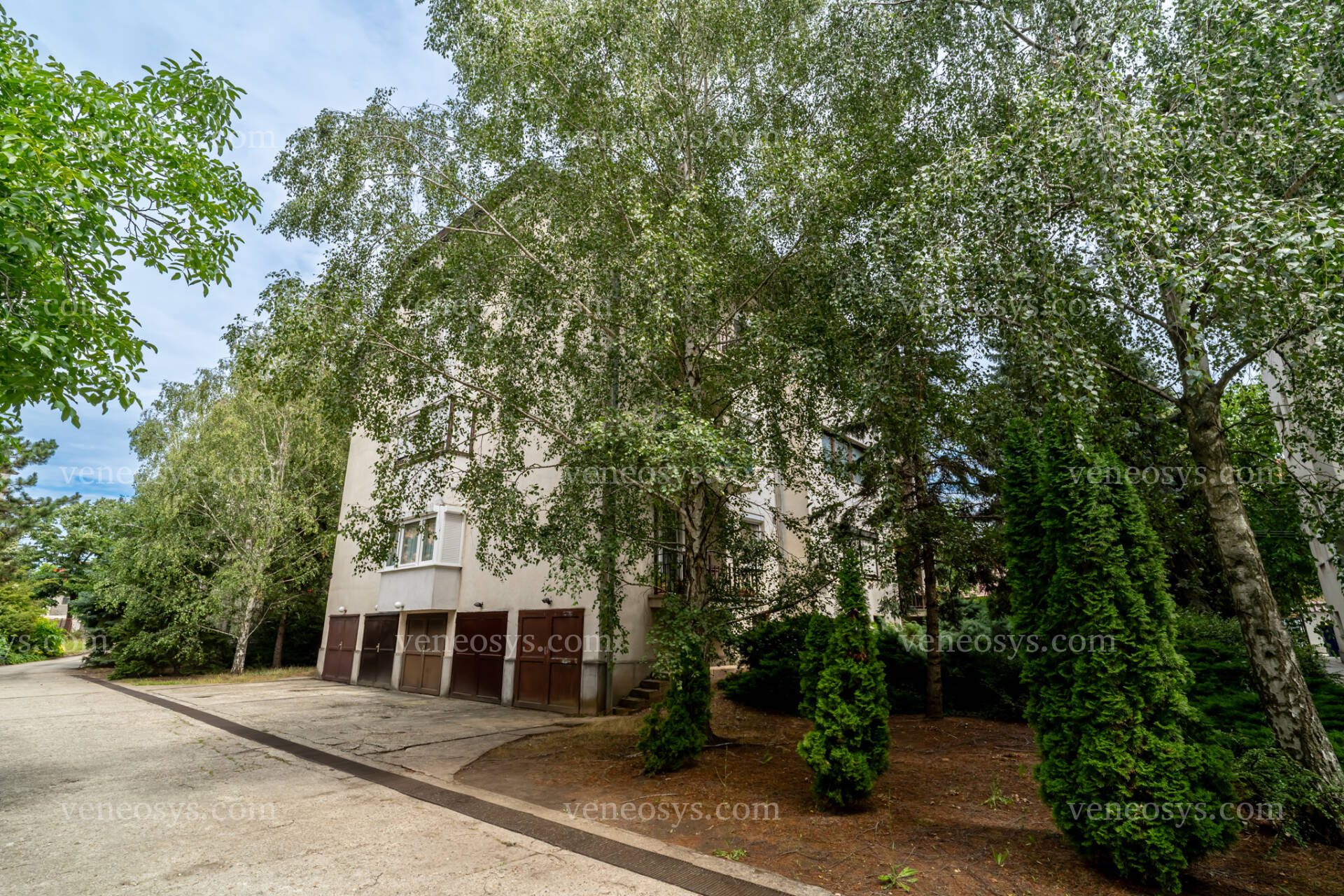 Kép 13
