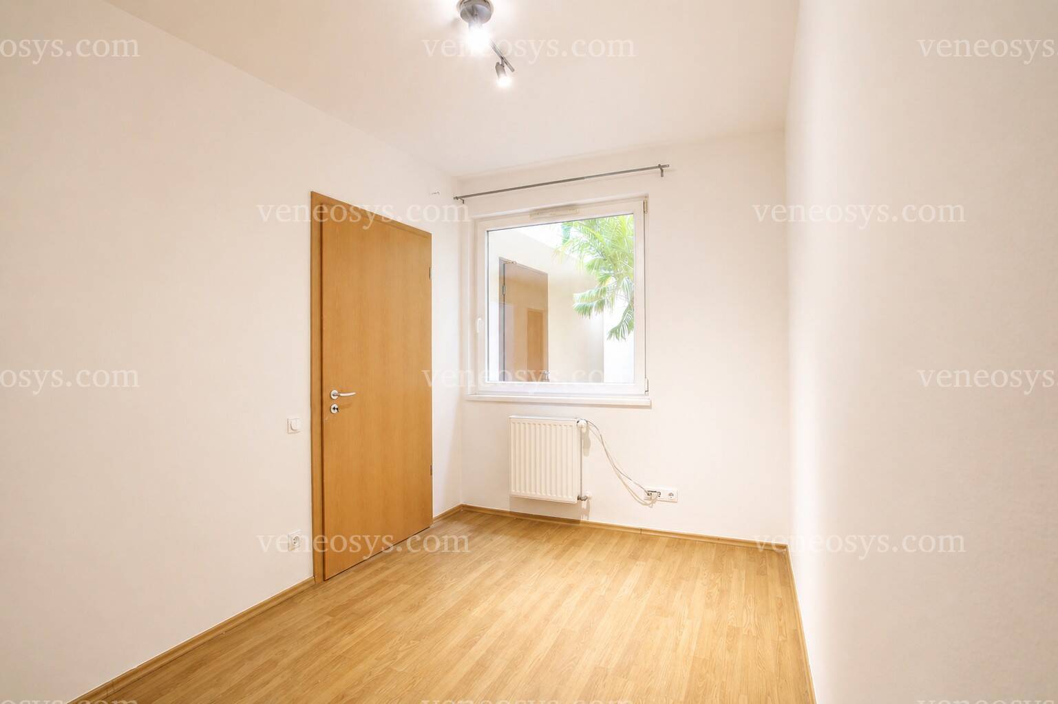 Kép 4
