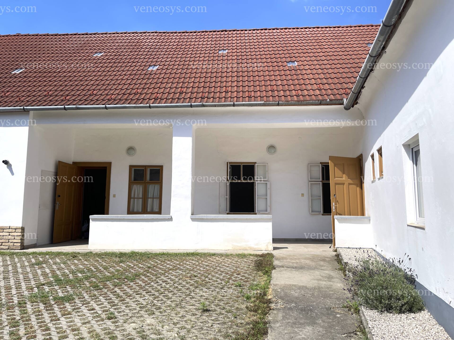 Kép 19