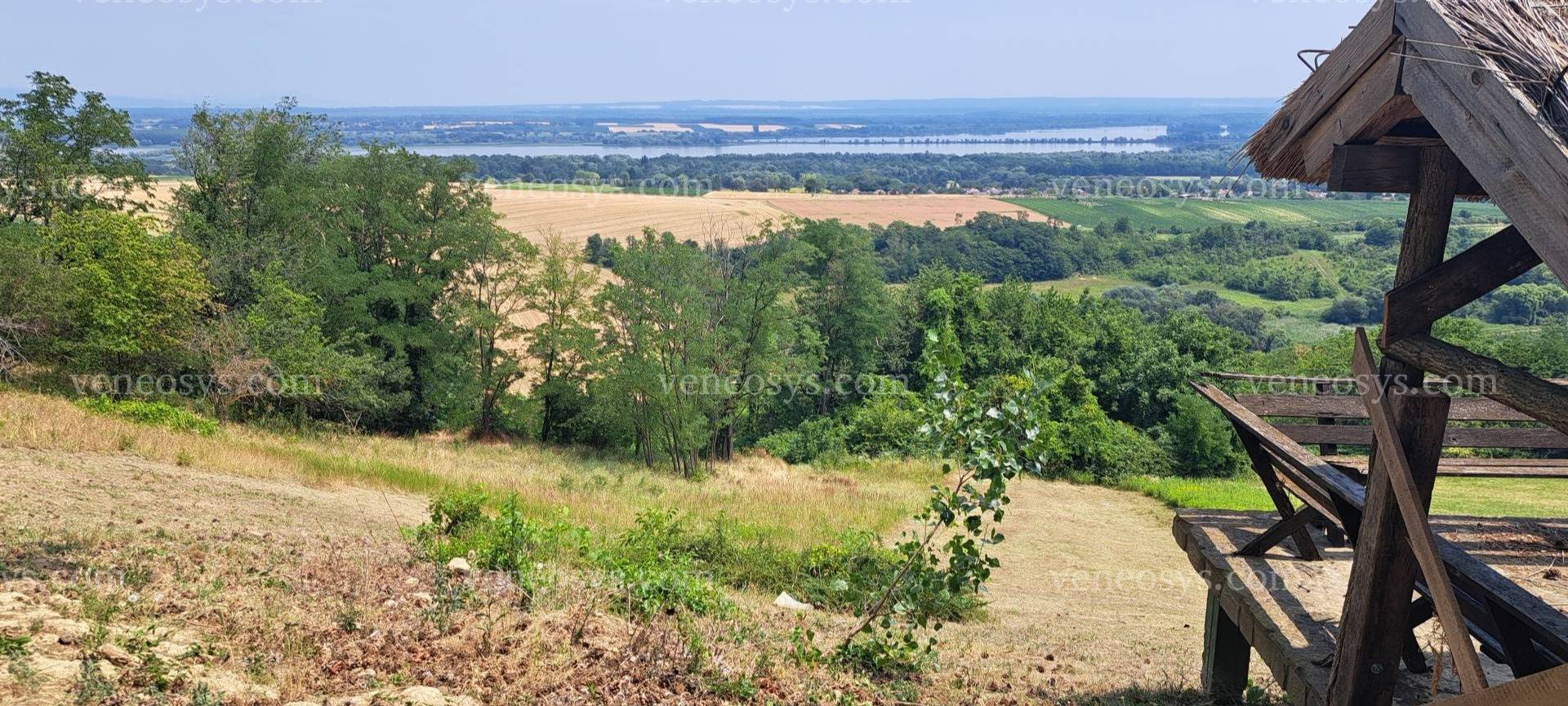 Kép 8