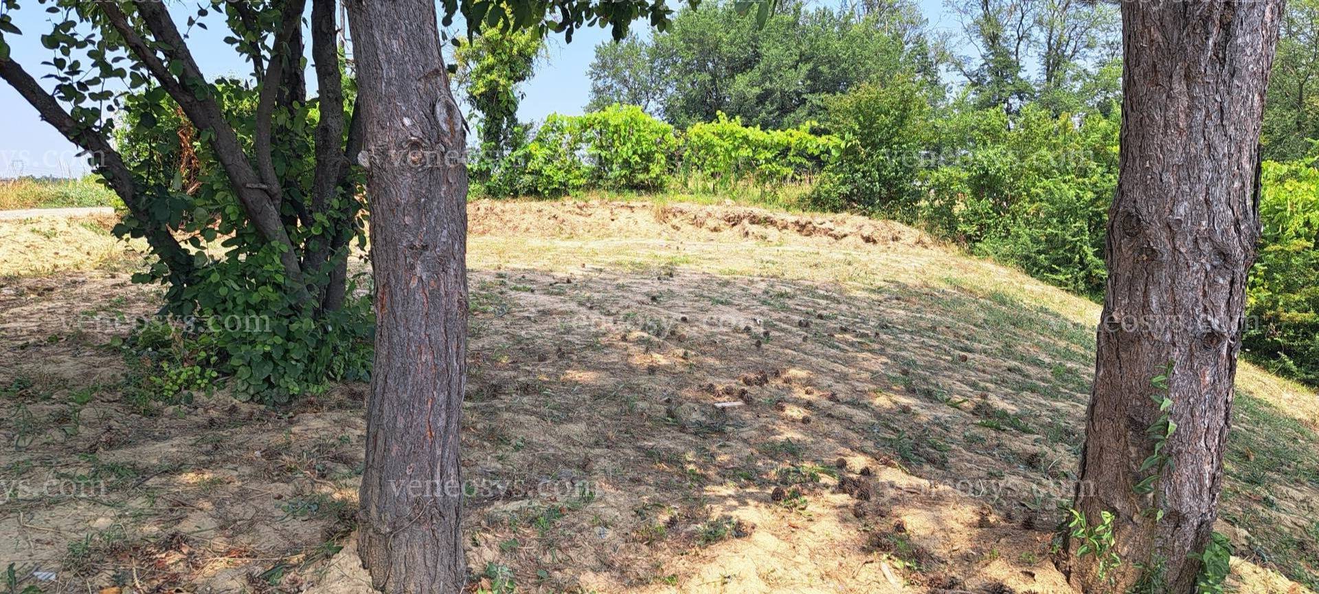 Kép 7