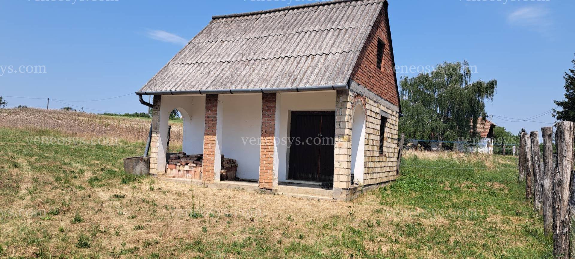 Kép 5