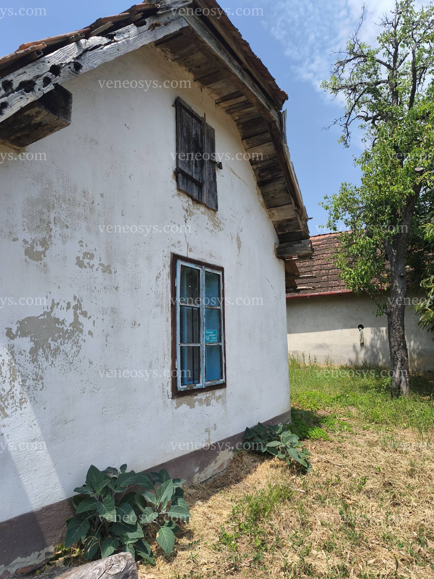 Kép 18