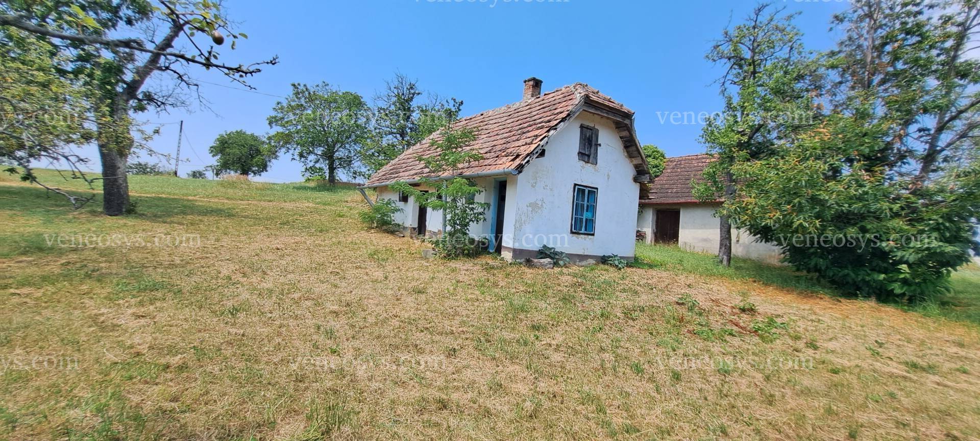 Kép 1