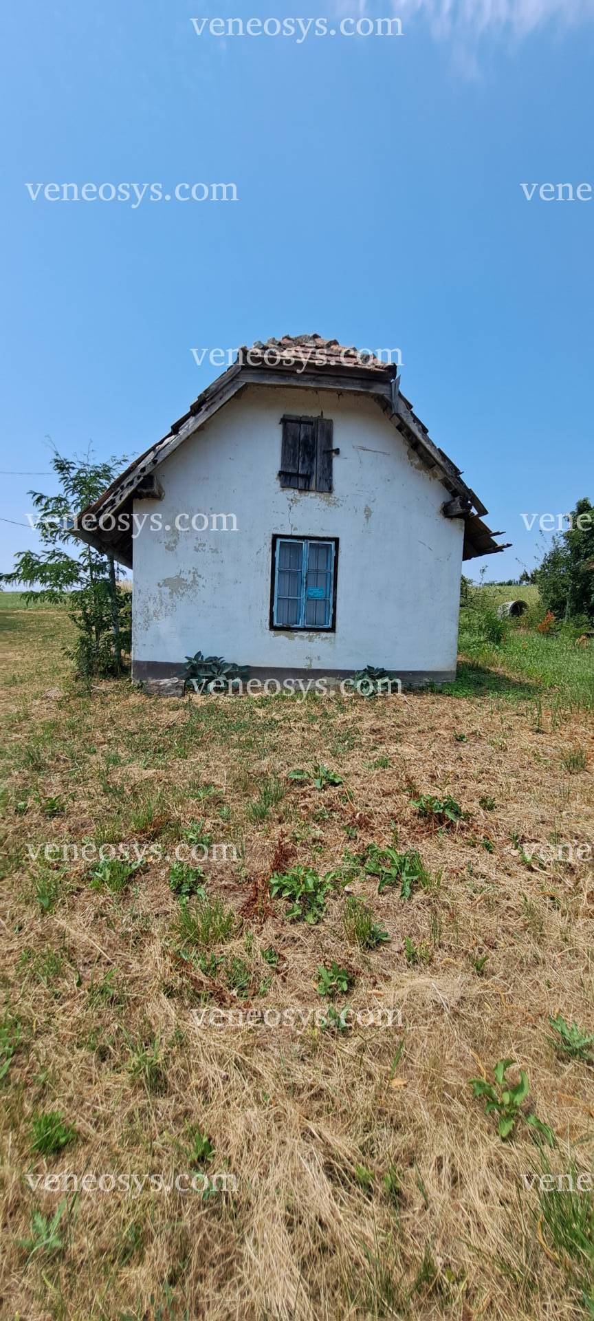 Kép 5