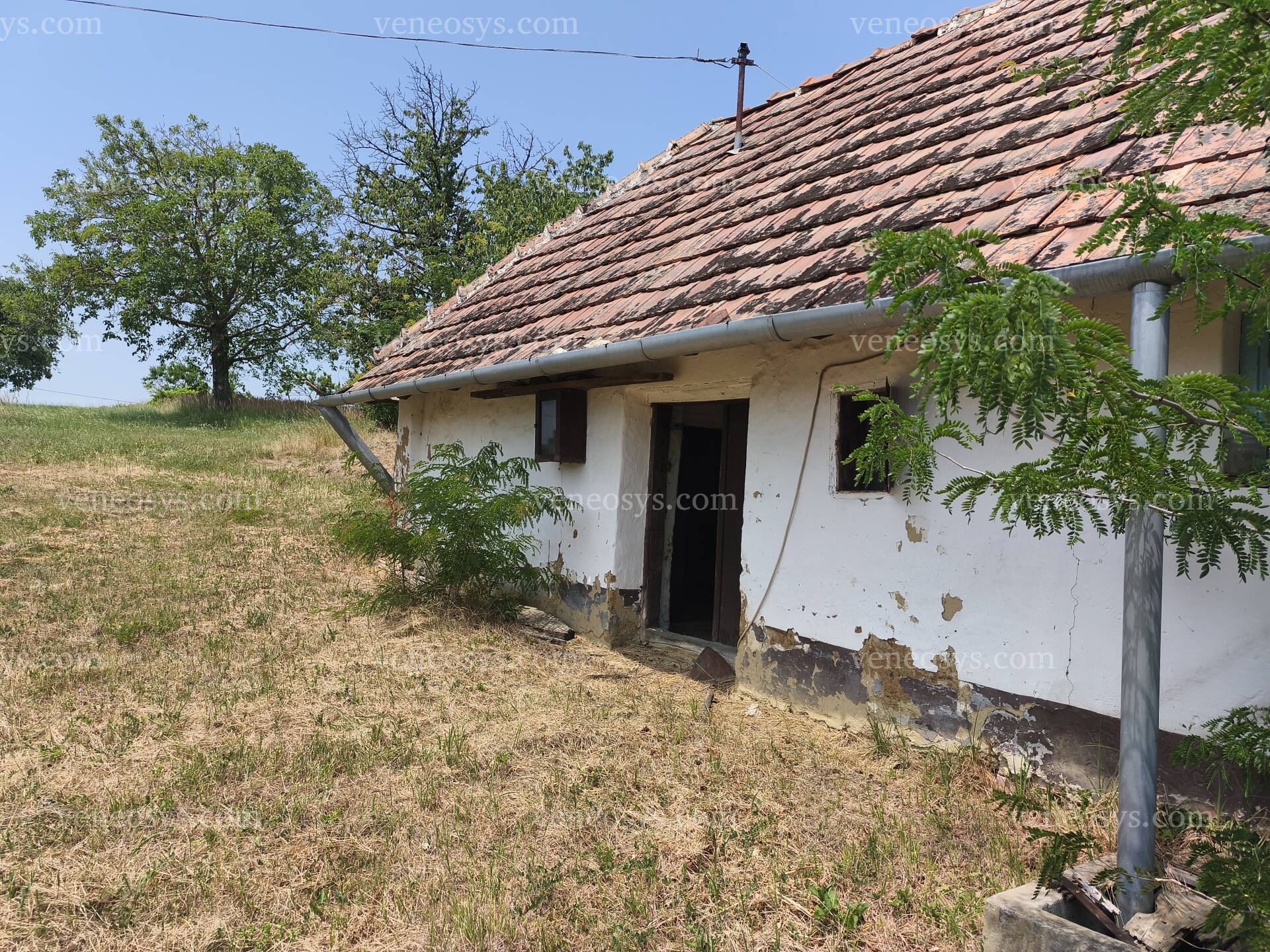 Kép 20