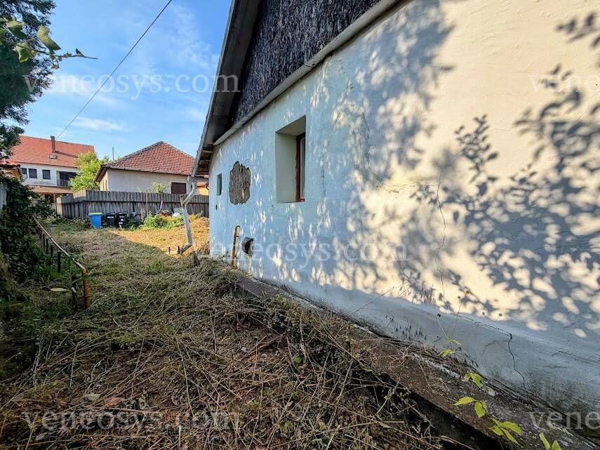 Kép 4
