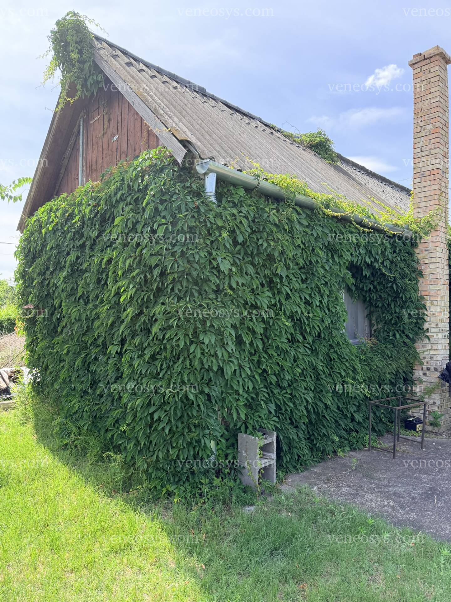 Kép 3