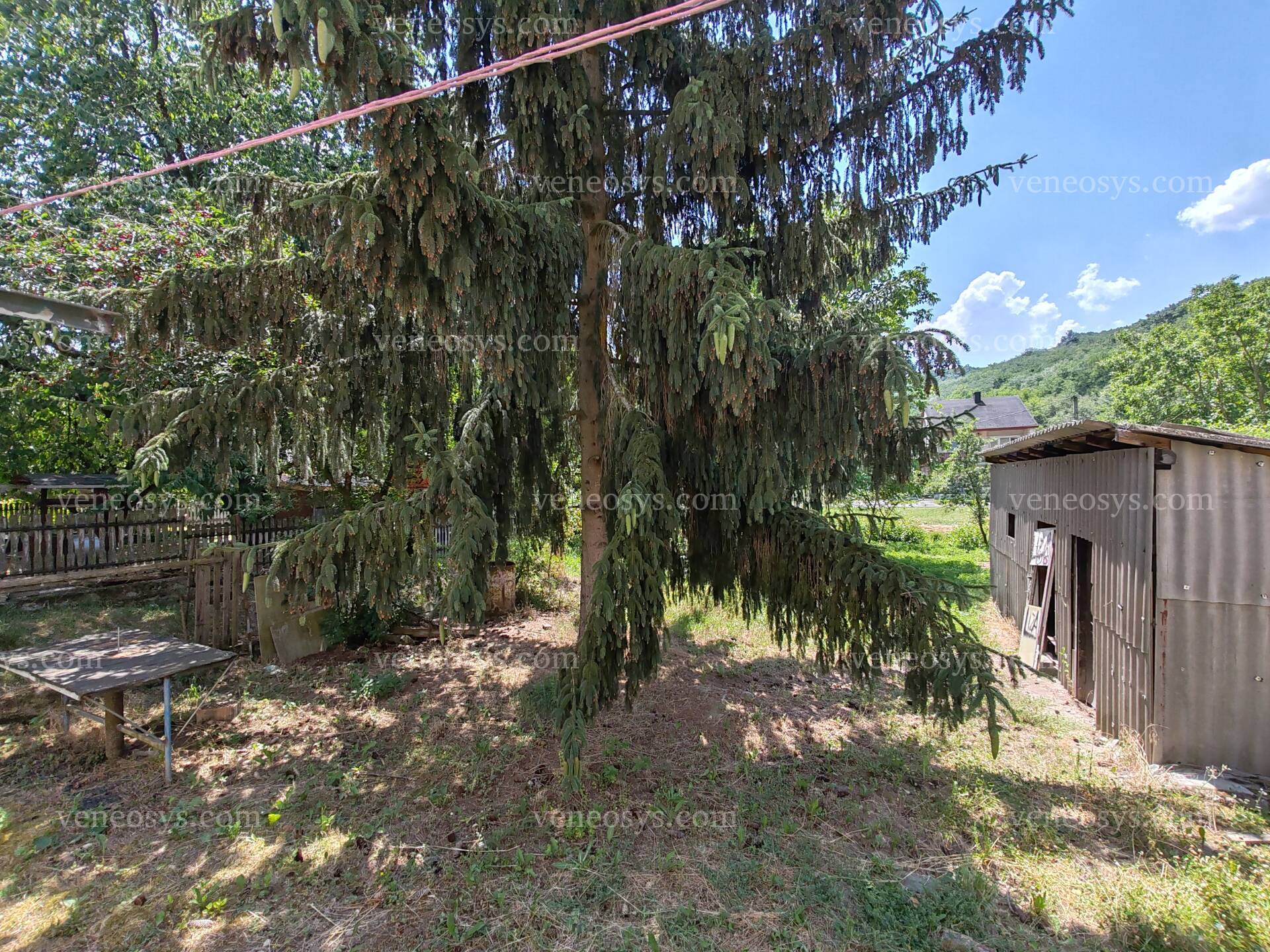 Kép 7