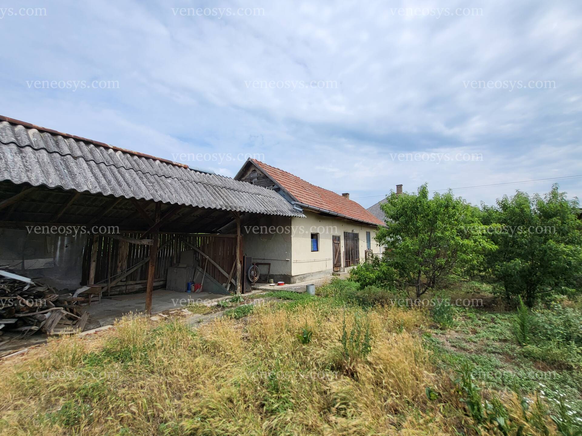 Kép 5