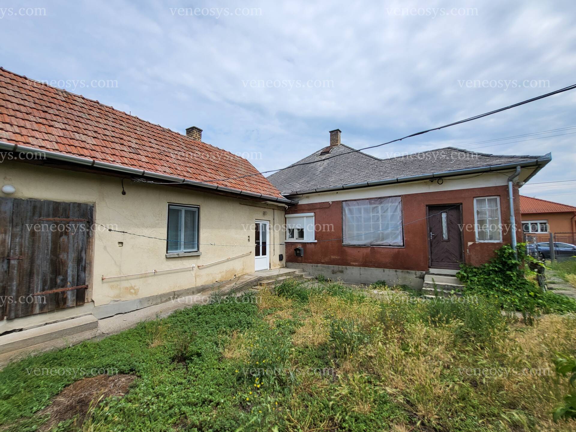 Kép 6