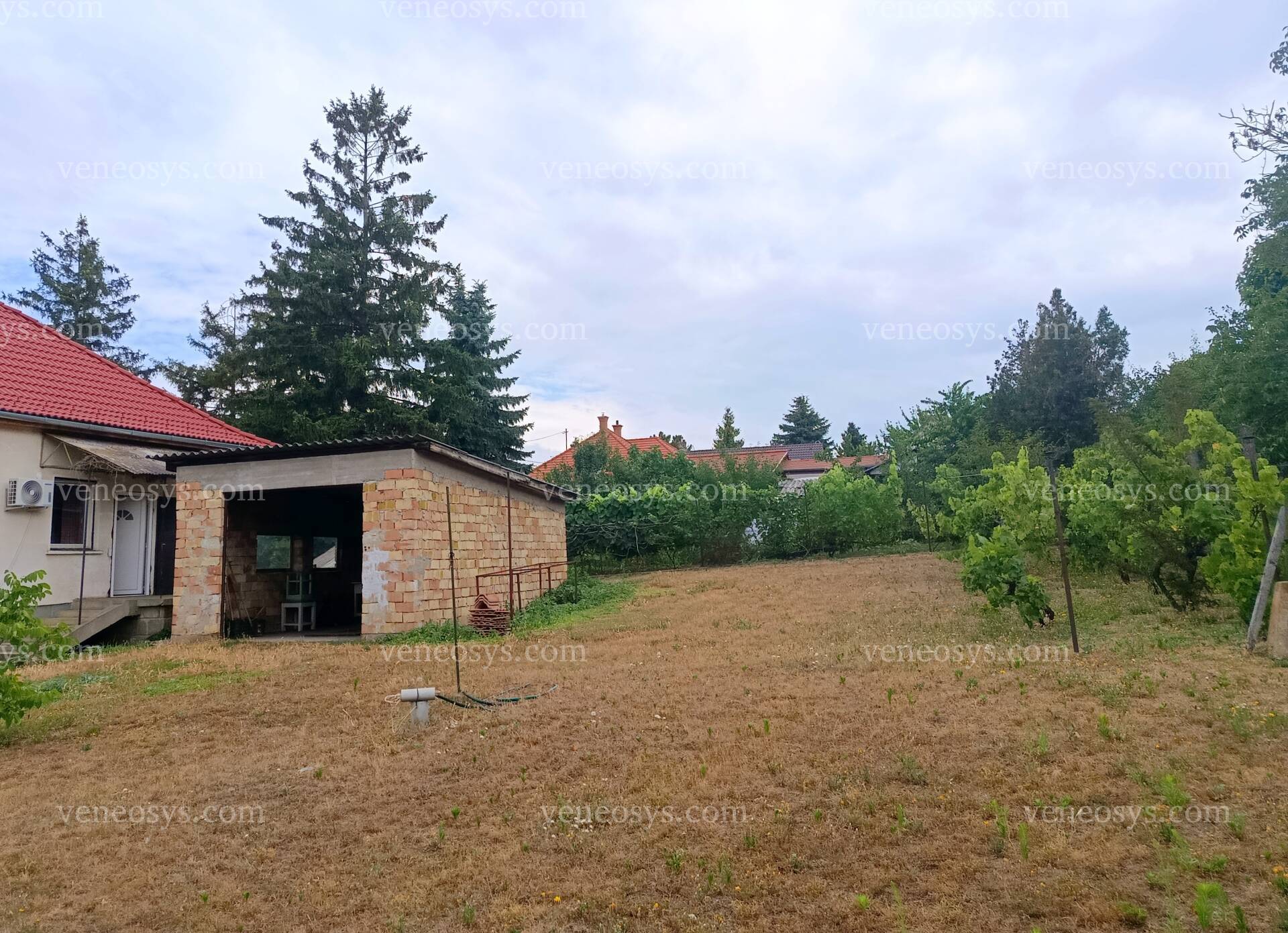 Kép 11
