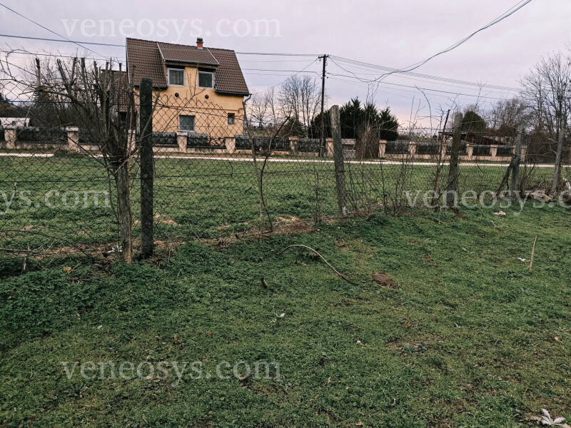 Kép 7