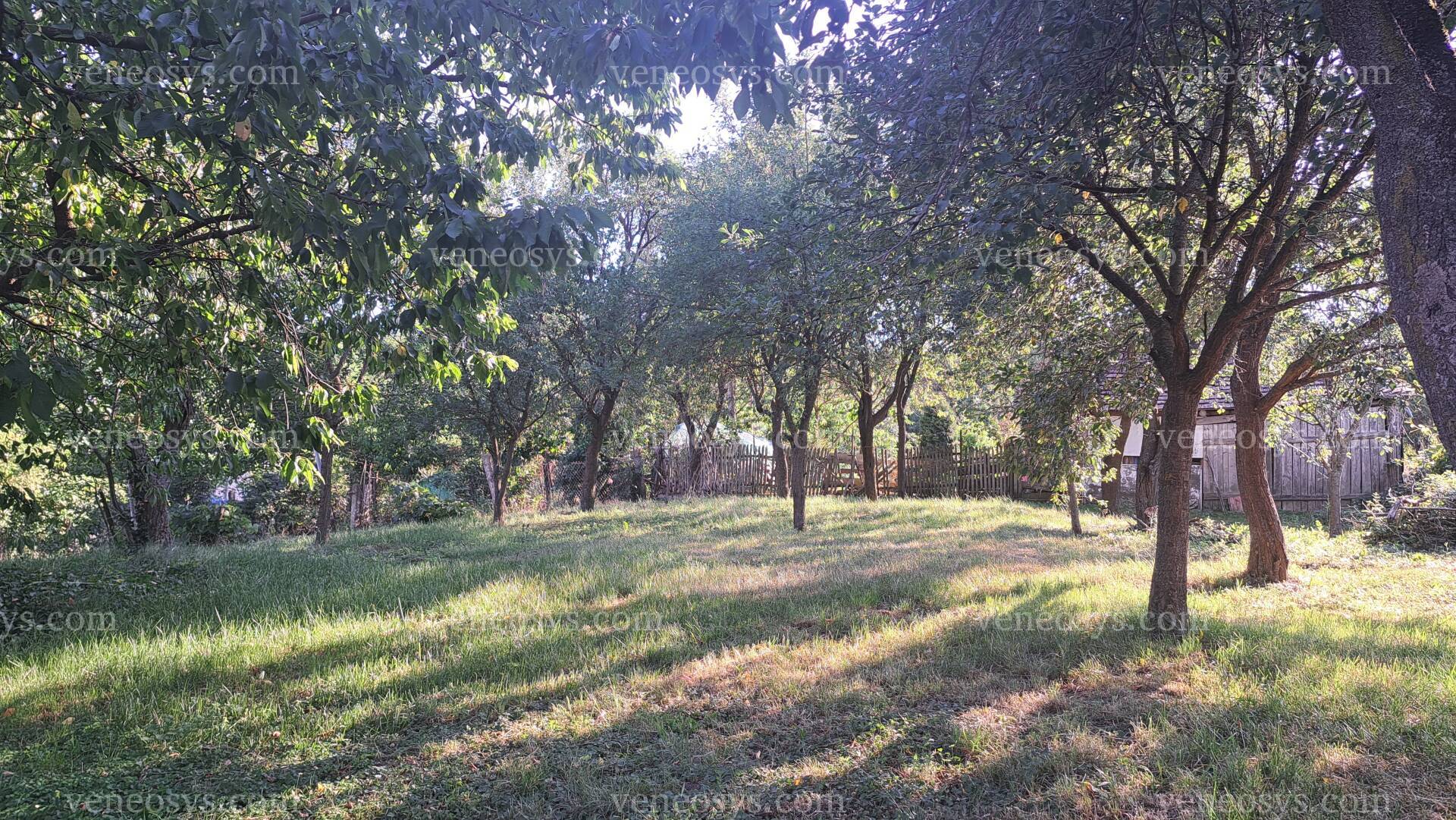 Kép 10