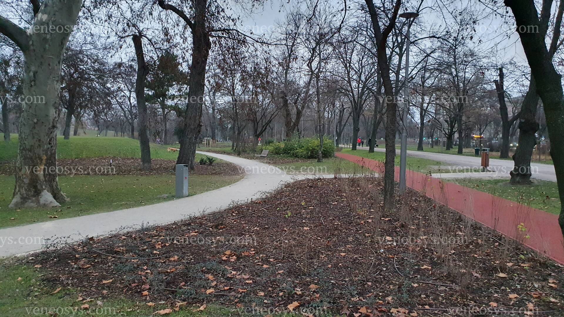 Kép 14