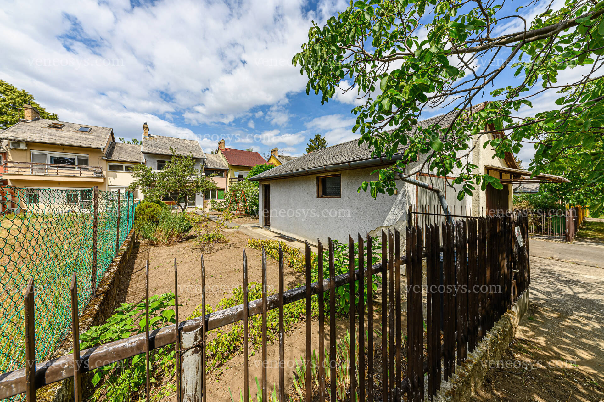 Kép 50