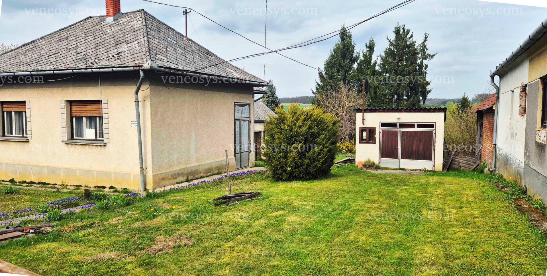 Kép 1