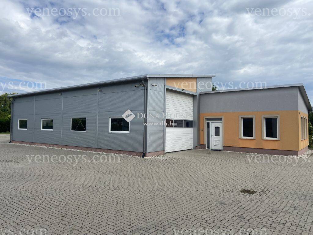 Kép 4