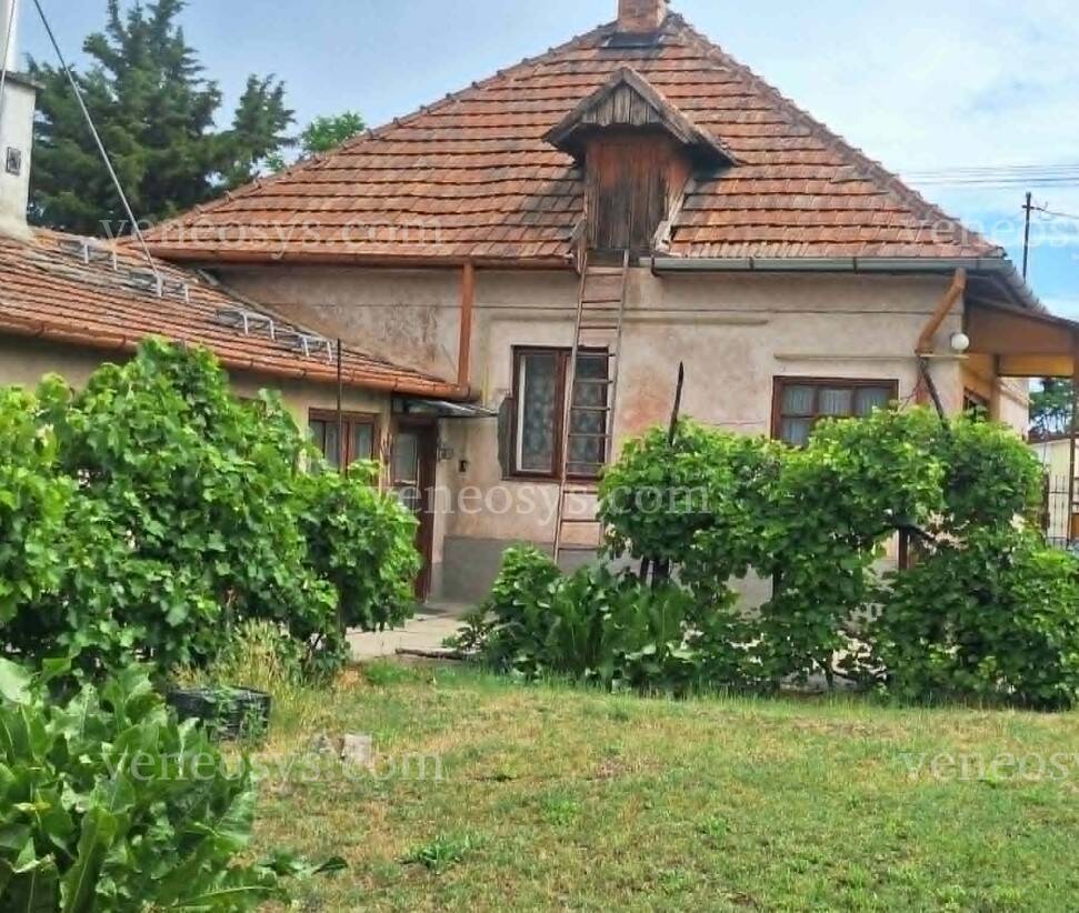 Kép 11