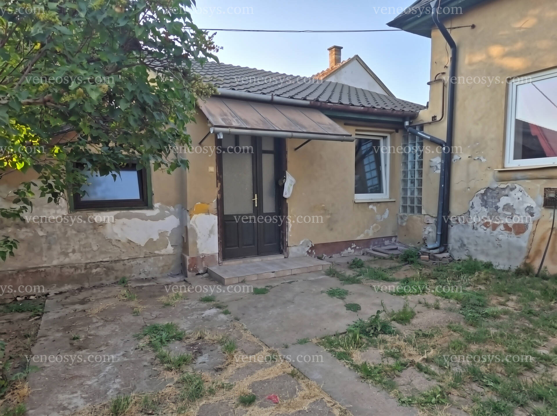 Kép 11