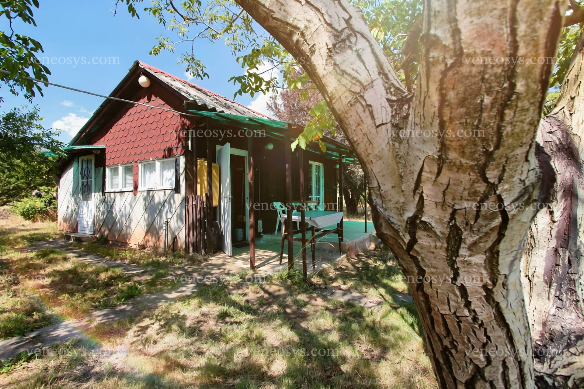 Kép 10