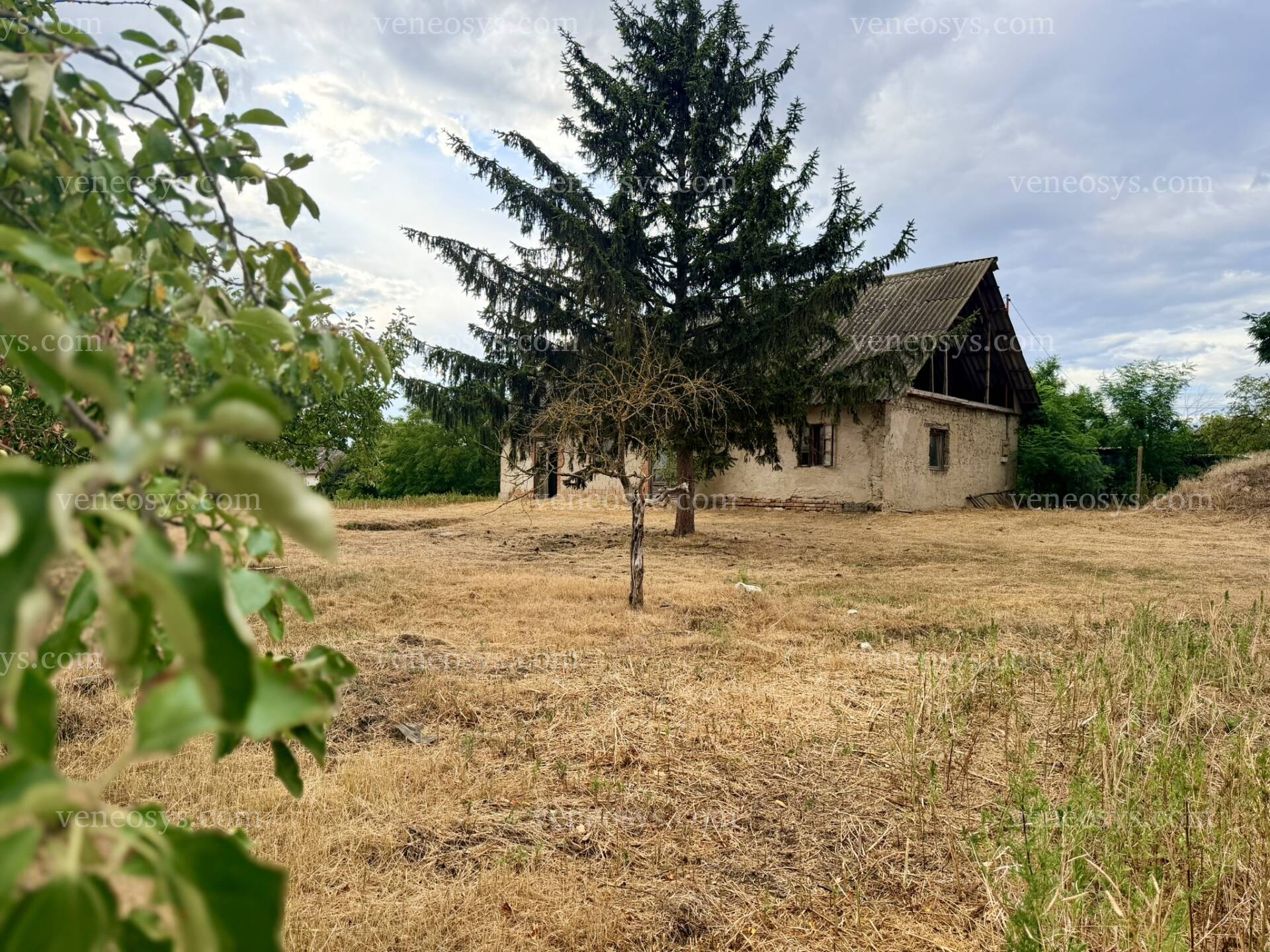 Kép 10