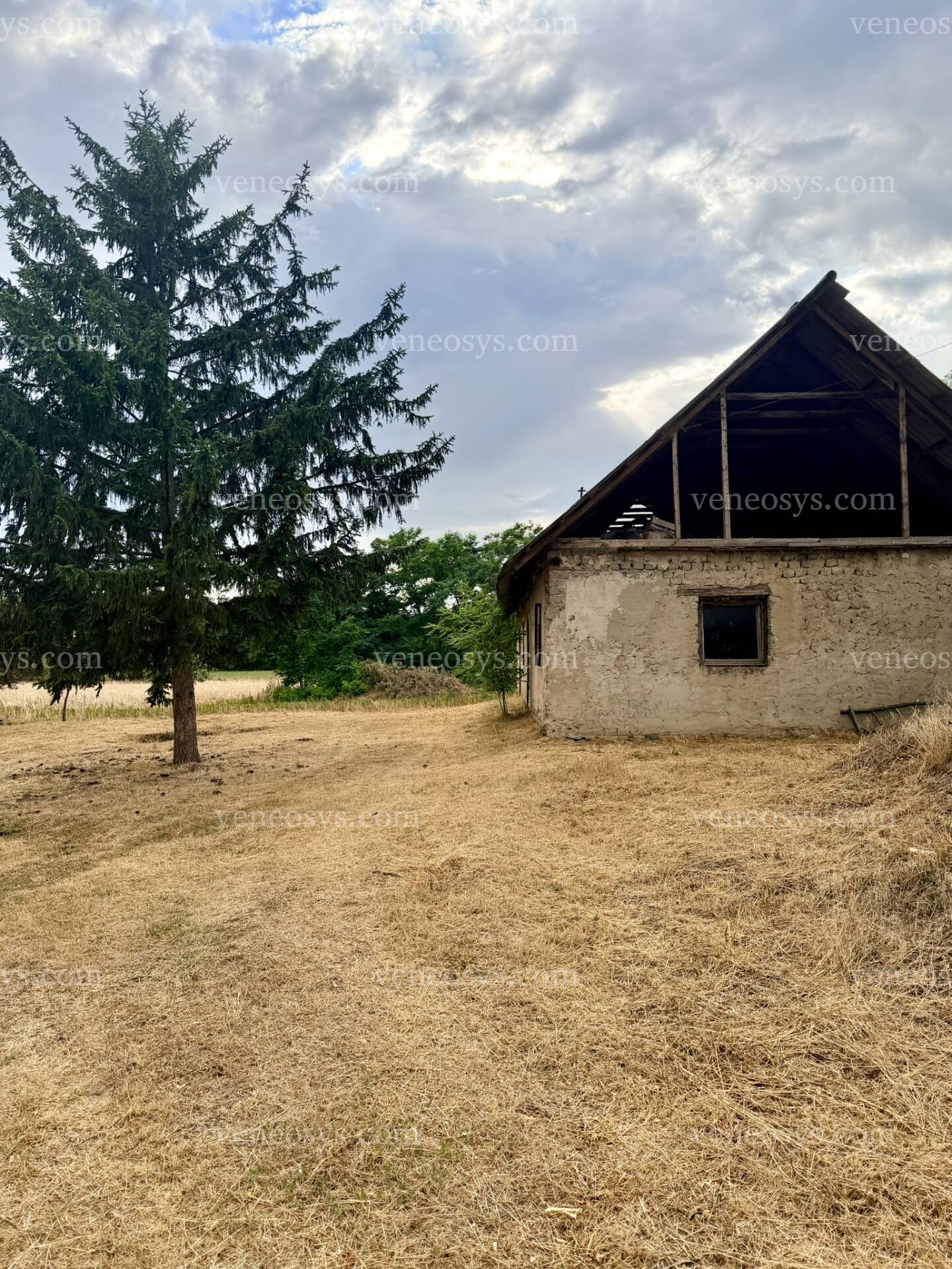 Kép 6