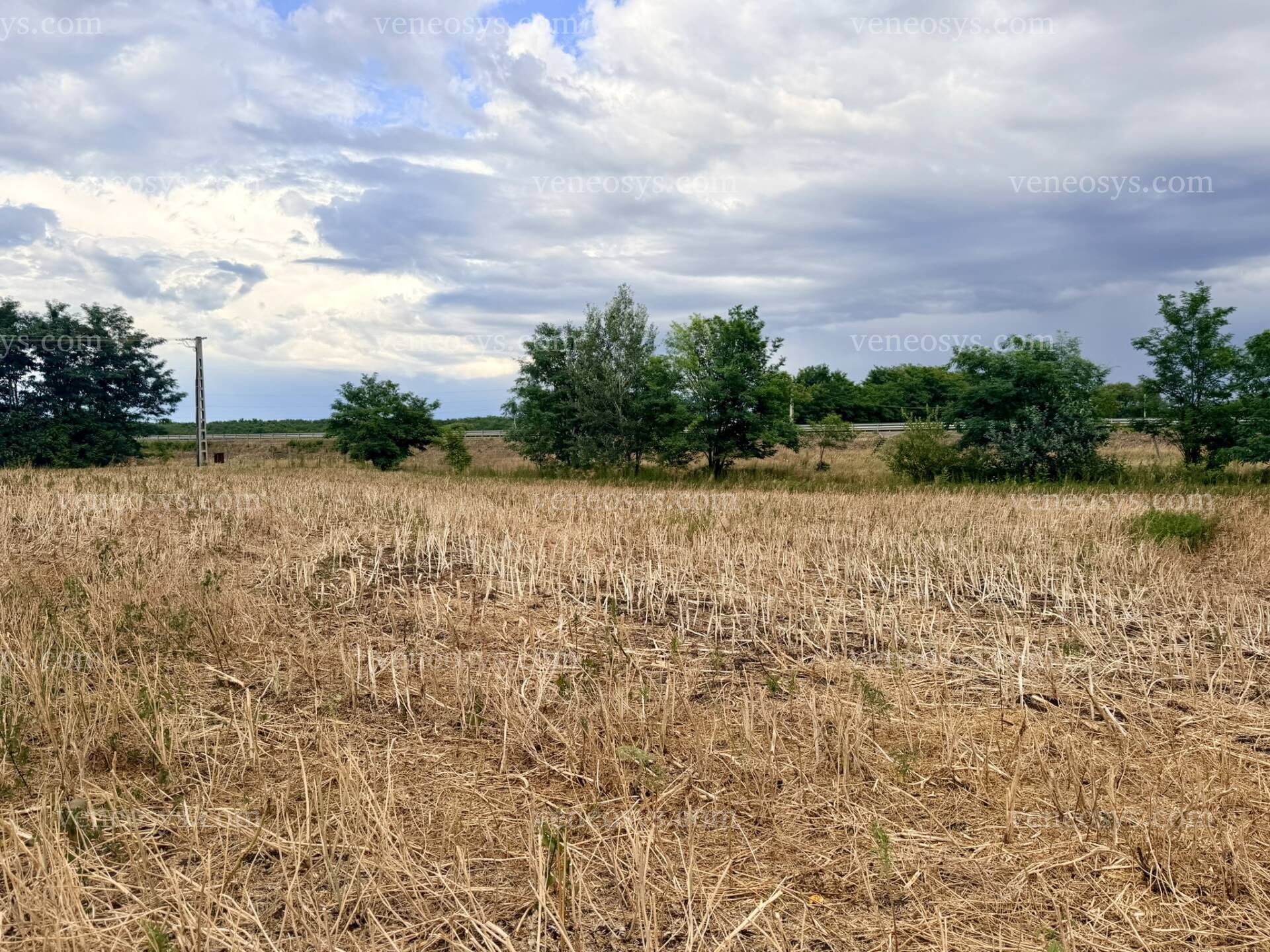 Kép 12
