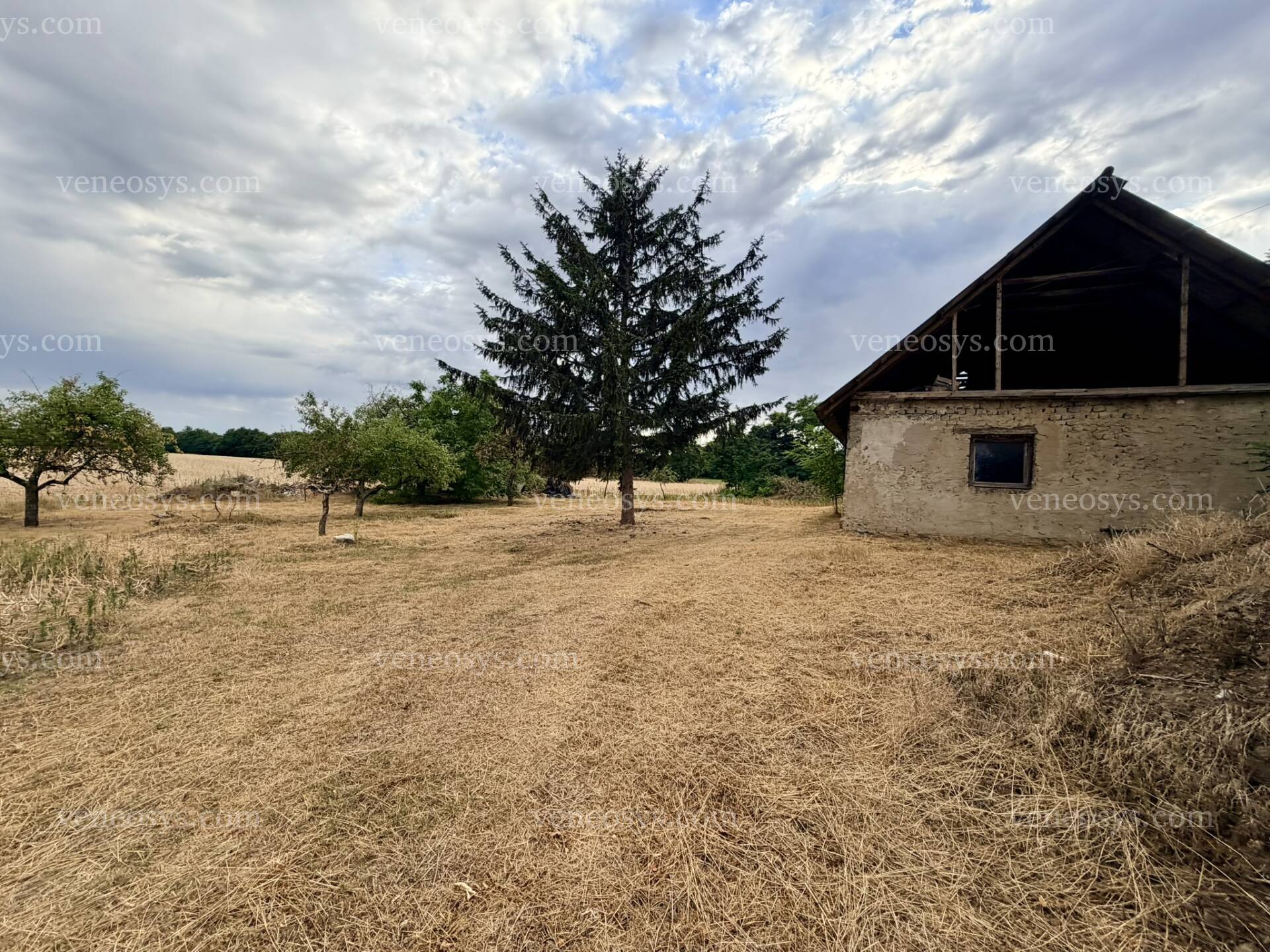 Kép 4