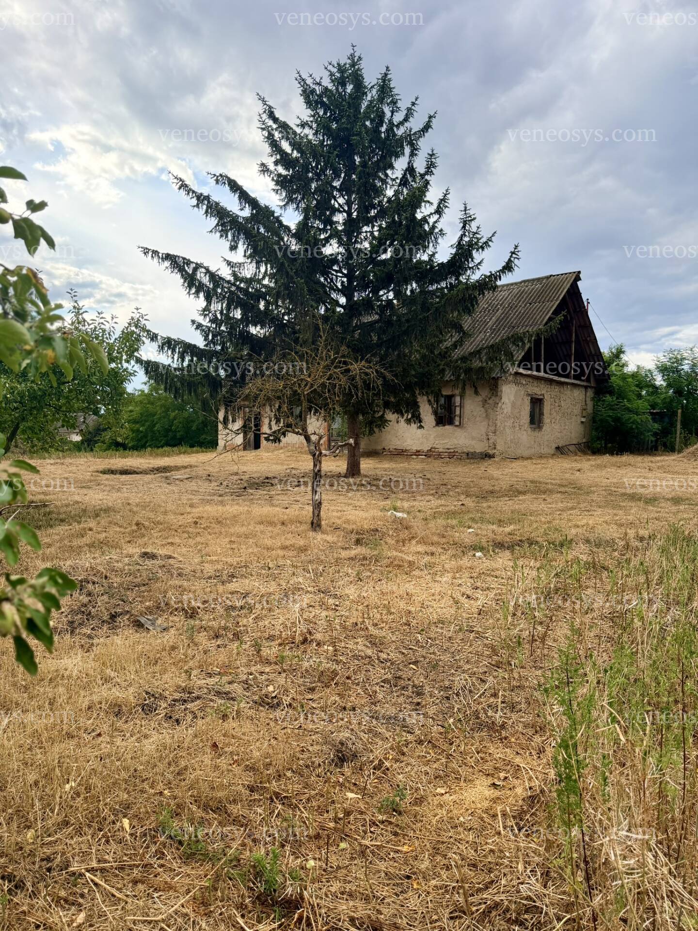 Kép 11