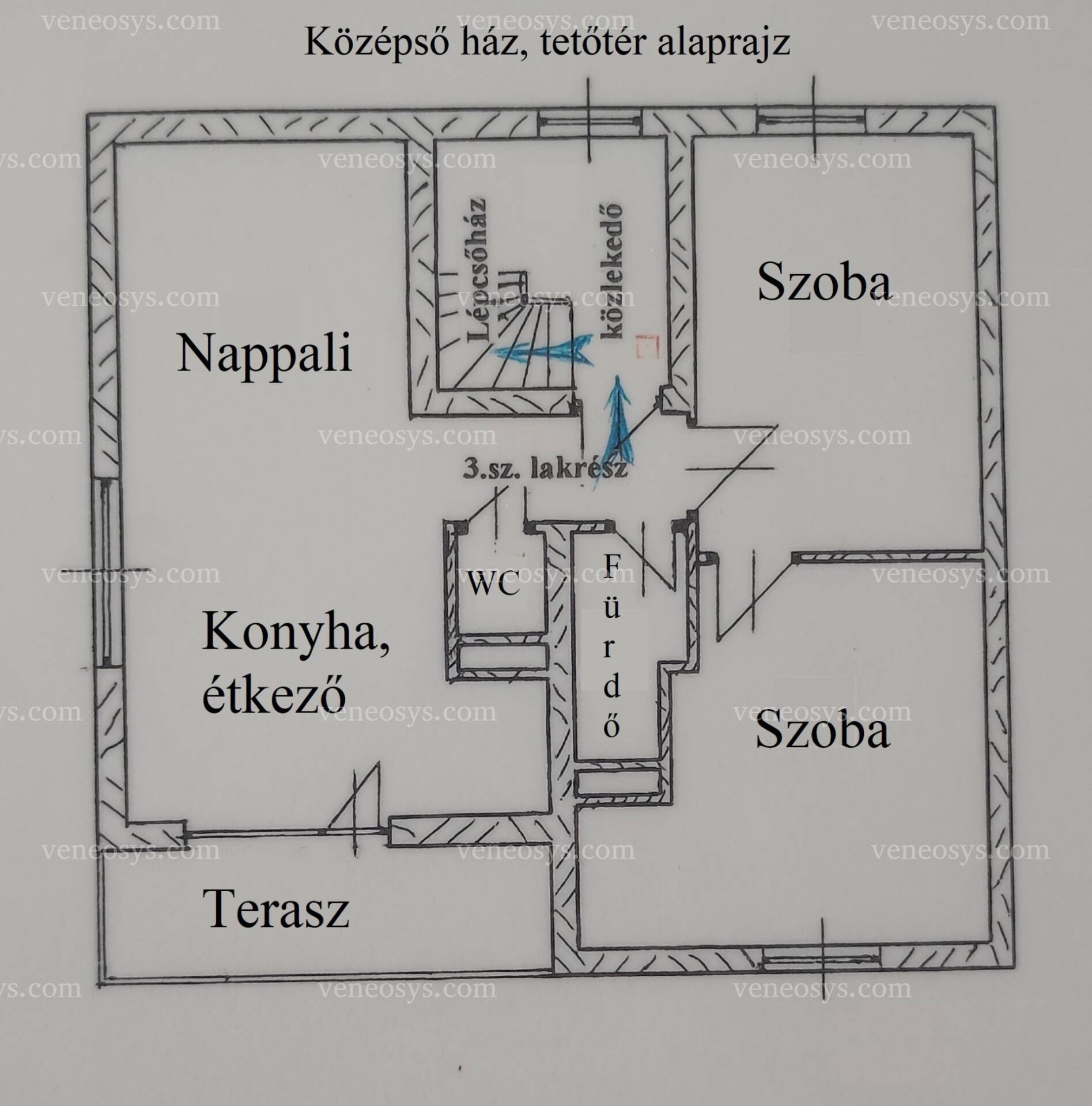 Kép 10