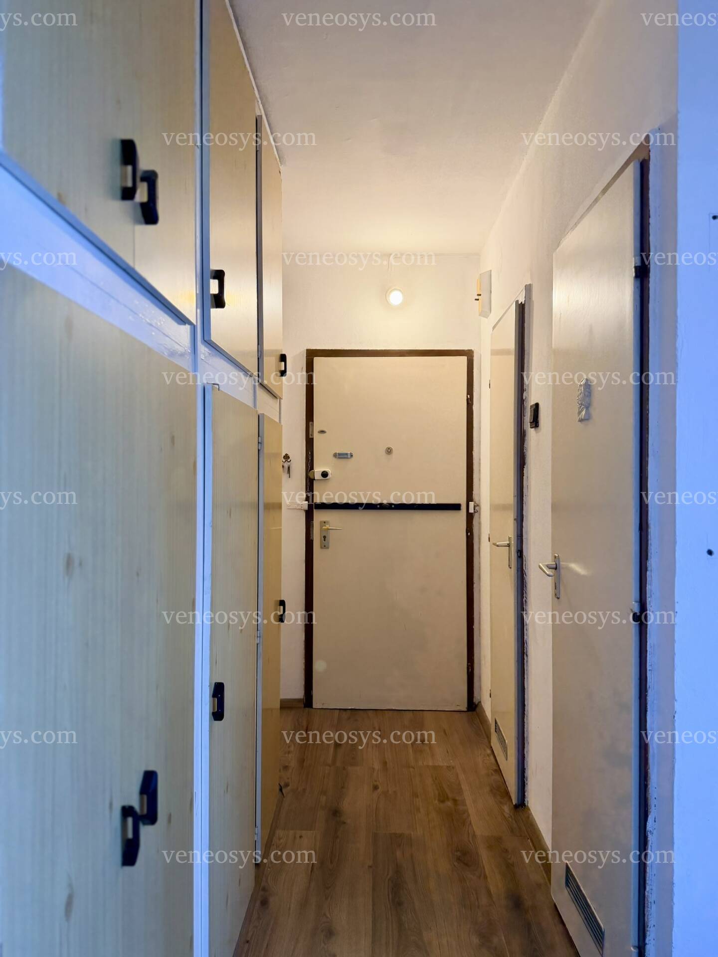Kép 7